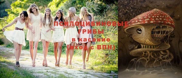 spice Володарск