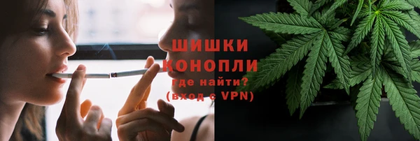 СК Волосово
